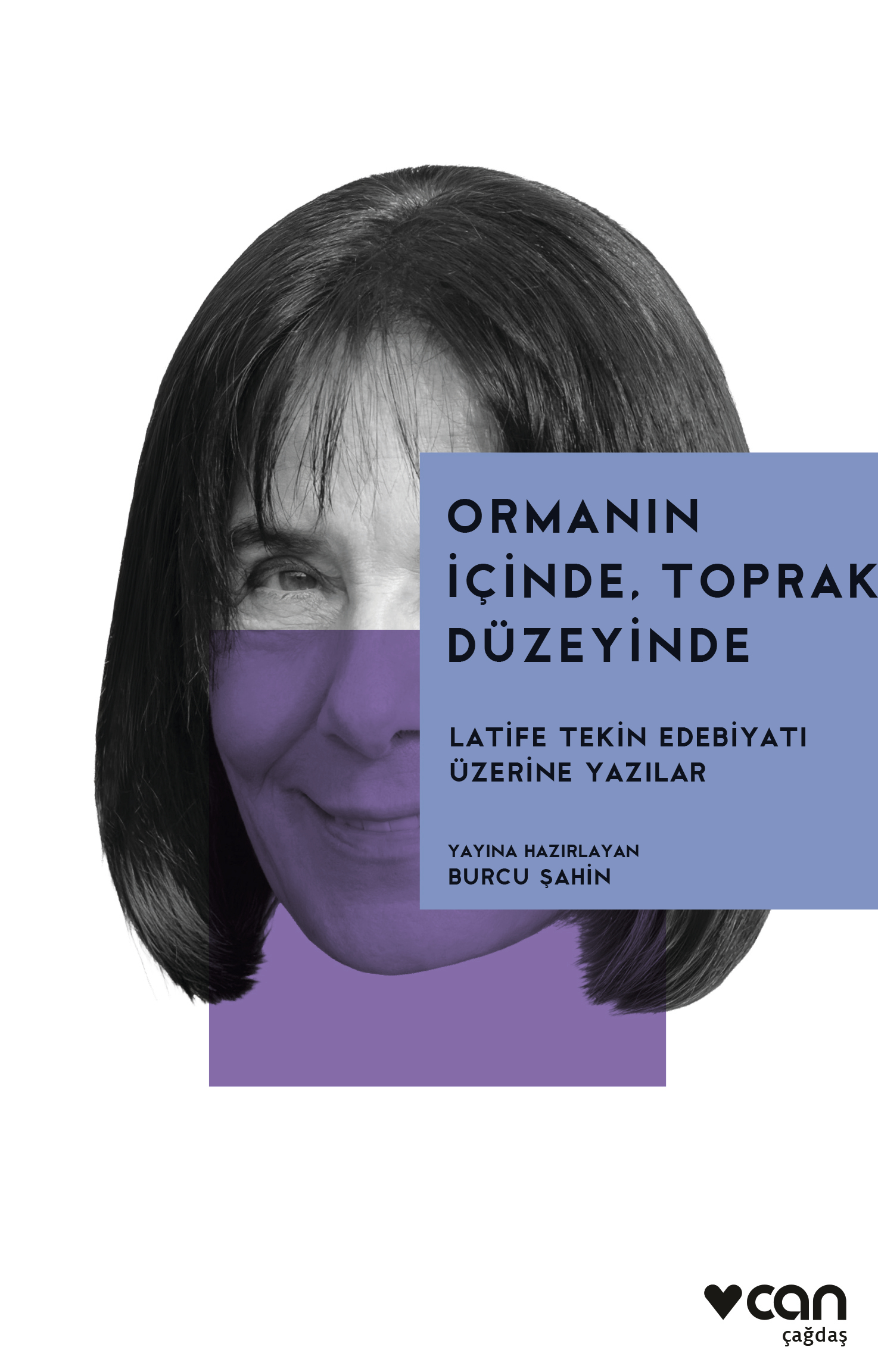 Latife Tekin edebiyatına dair bir kuşatma denemesi: Ormanın İçinde, Toprak Düzeyinde